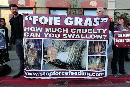 Foie Gras ban has its set of supporters too. Foie Gras 2